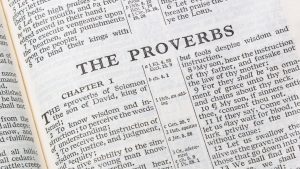 Pengertian dan Fungsi Page Layout dalam Microsoft Word