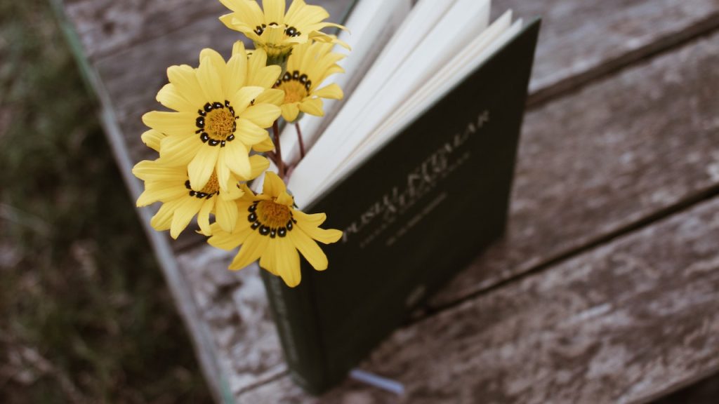 Tips Membuat Judul Novel yang Menarik