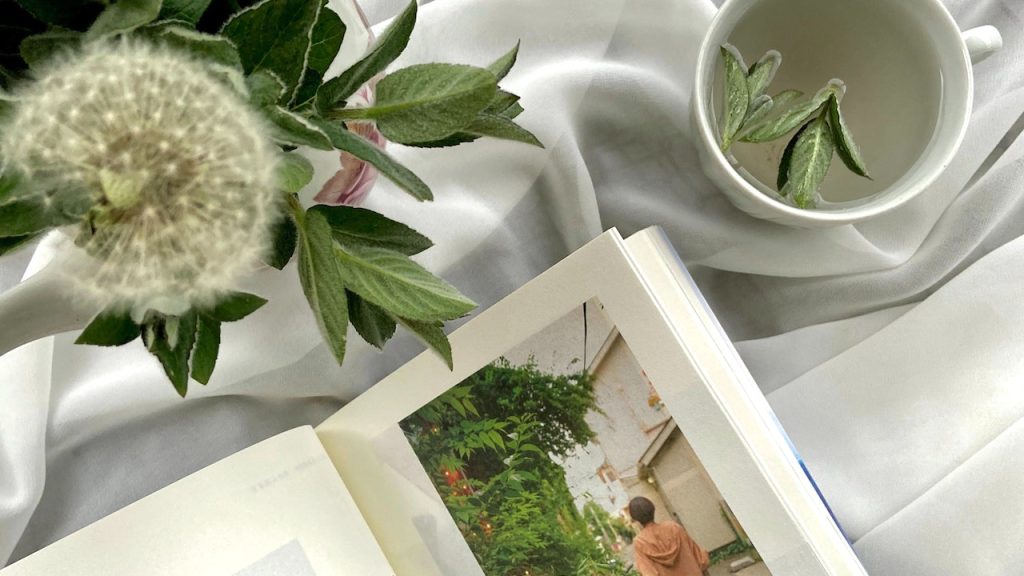 3 Novel Remaja Penuh Romansa untuk Menghangatkan Masa Sekolah