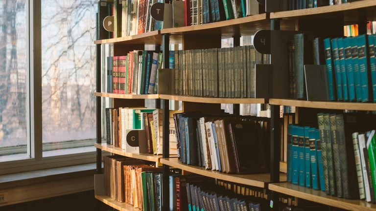 Tips Memilih Novel yang Tepat untuk Dibaca