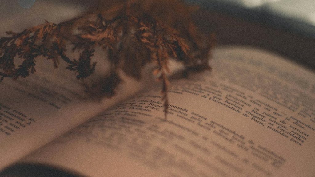Macam-Macam Tipologi Psikis Dalam Karya Sastra Novel