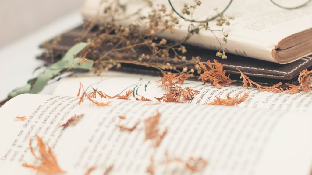 Novel Metropop: Review Novel Ganjil Genap