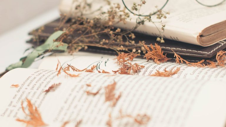 Novel Metropop: Review Novel Ganjil Genap