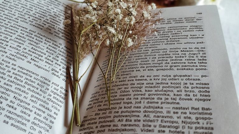 Cara Menulis Prolog Menarik pada Novel