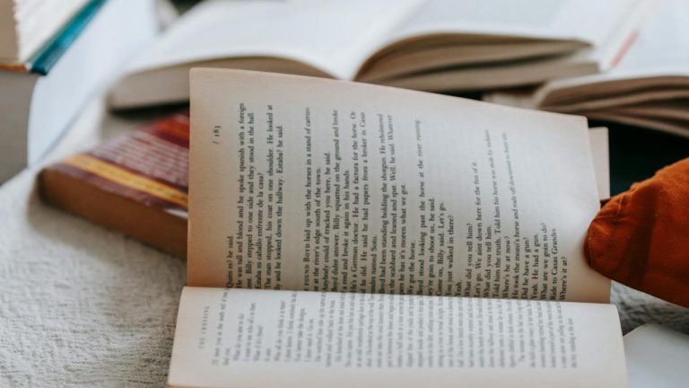 Tips Menentukan Gaya Bahasa Dalam Menulis Novel