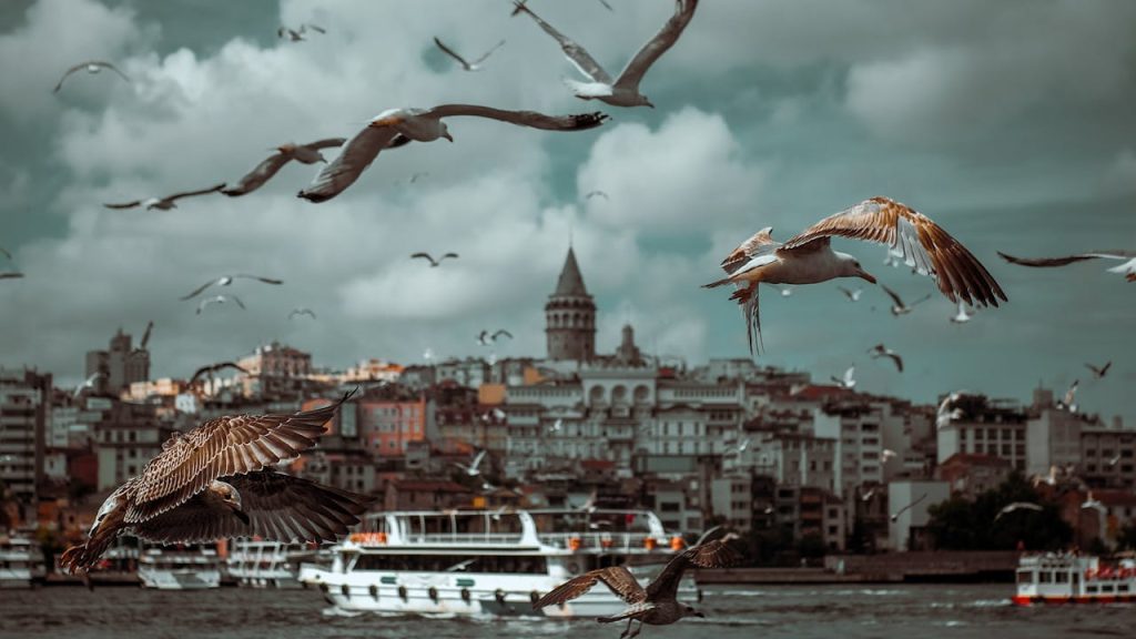 Pengertian Alegori – Penyampaian Melalui Simbolisasi dan Kiasan