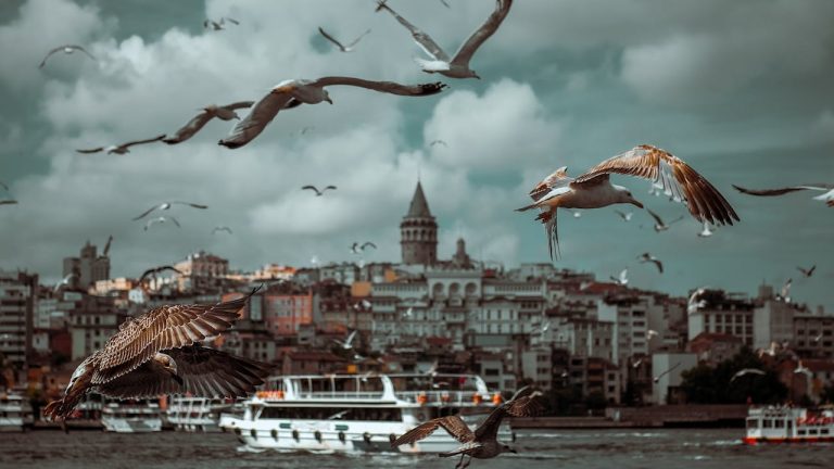 Pengertian Alegori: Penyampaian Melalui Simbolisasi dan Kiasan