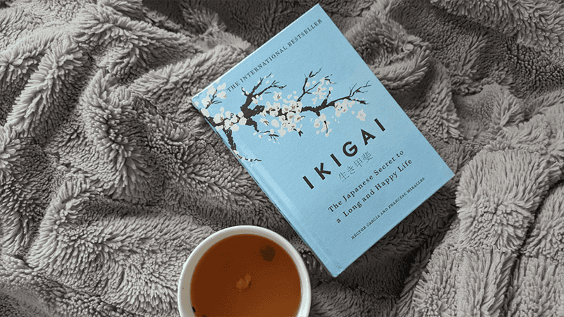 Ciri Cover Buku yang Baik dan dapat Menarik Perhatian Pembaca