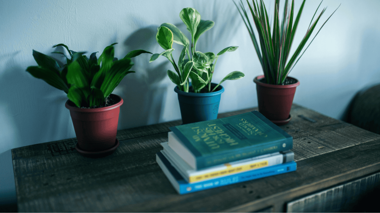 5 Perbedaan ISBN dan E-ISBN yang Perlu Penulis Ketahui