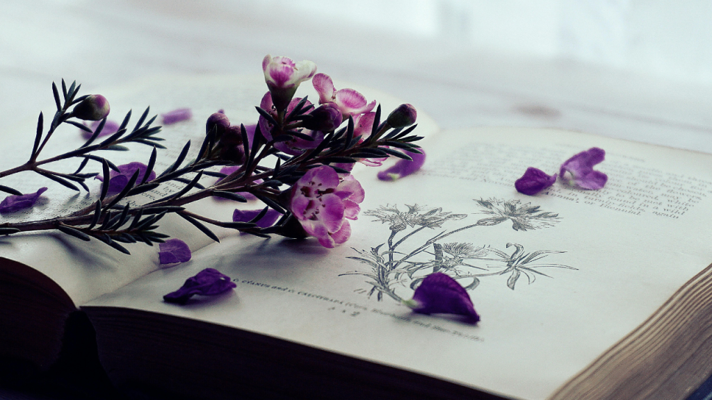 Tipografi Puisi Adalah: Pengertian, Unsur, Cara Memilihnya