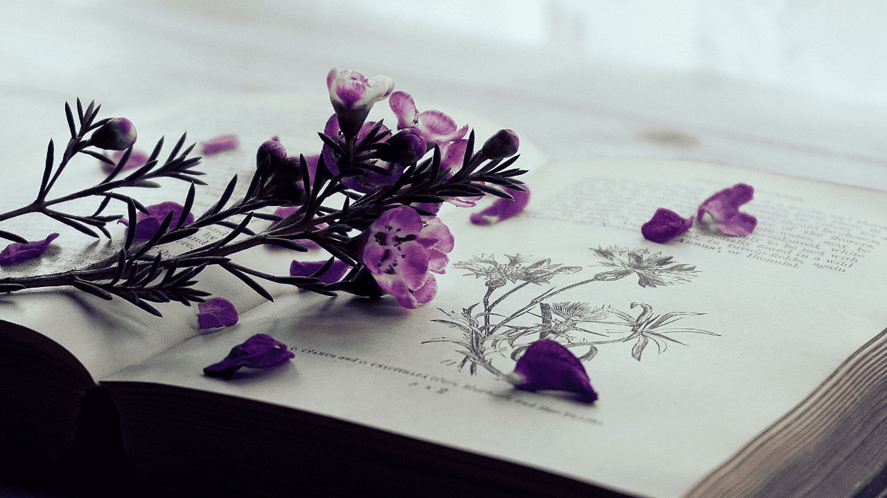 Tipografi Puisi Adalah: Pengertian, Unsur, Cara Memilihnya